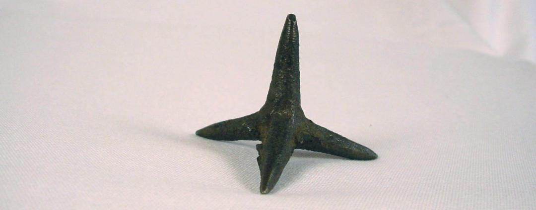 Tribulus Terrestris